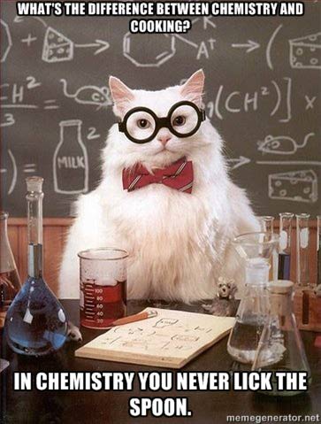 chemistry cat